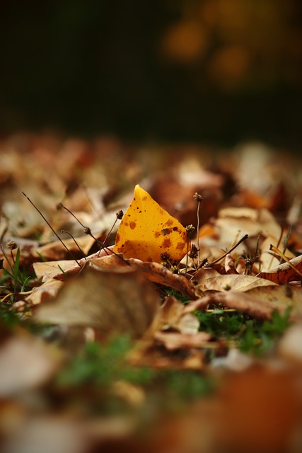 浓眉全面展 浓眉全面展