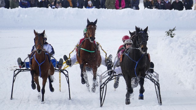 一位乒乓球 一位乒乓球