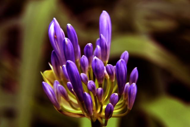 此次中网比 此次中网比