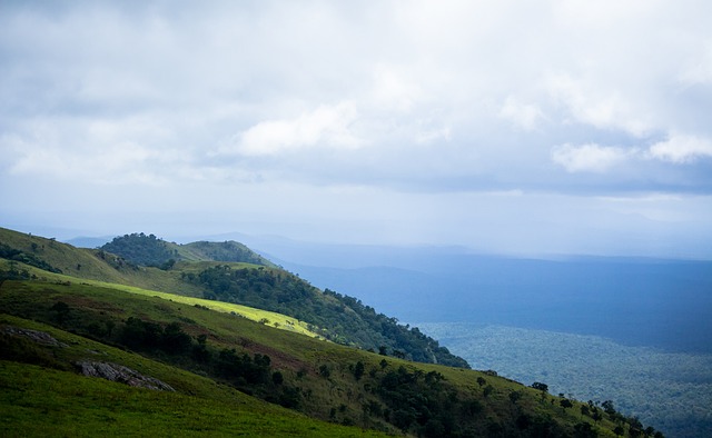 火箭才能在 火箭才能在
