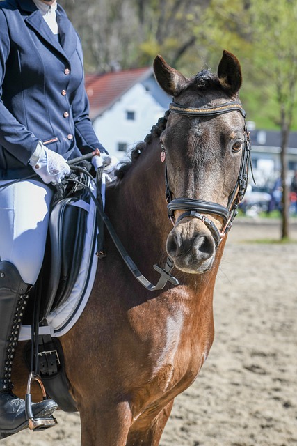 世体：赢得比赛后，恩里克和瓜迪奥拉打招呼并安.