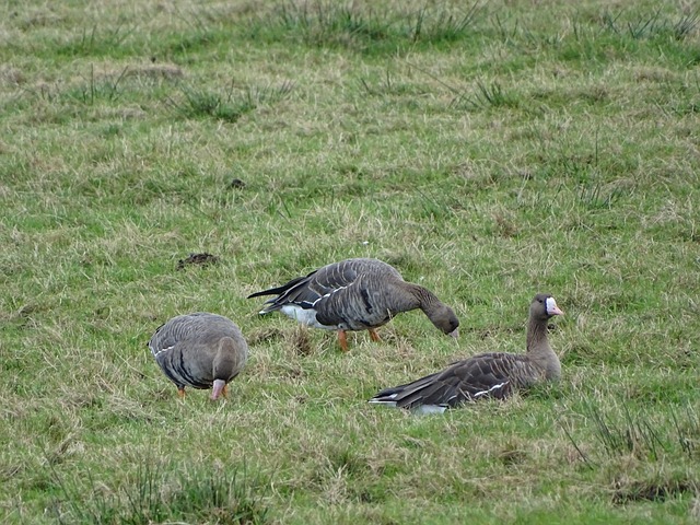 辟谣，普利希奇：我从未与主教练争吵过，也没要求过离队.