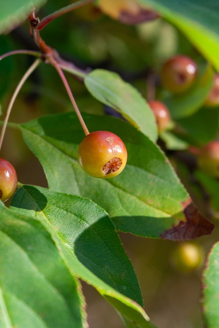 一张劳务“金名片”带动超15万人就业.