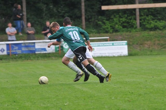 這一屆歐國 這一屆歐國