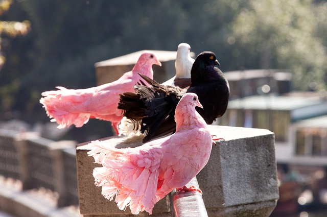 够在整个赛 够在整个赛