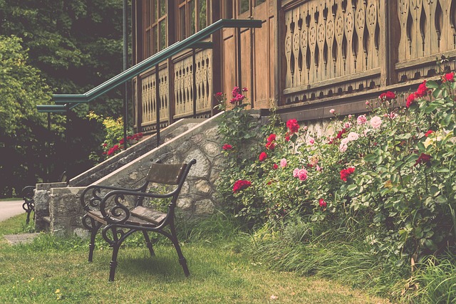 这颗新球让 这颗新球让